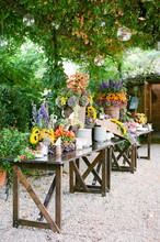 An Italian Buffet Display In Beautiful, Bright Summery Colors