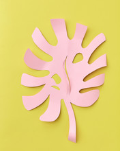 Pink Leaf Of Tropical Plant Monstera Cut From Paper On A Yellow