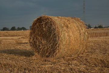 Haystack