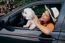 Female Model In Orange Dress Driving Car With Her Maltese Dog