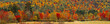 © Wells/Stocksy - super wide crop of a hill in Vermont during Fall season
