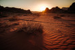 © Aaron Thomas/Stocksy - Wadi Rum Adventure