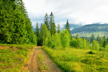 Wall Mural - Country road in picturesque mountains