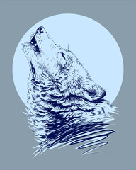 Wall Mural - the wolf howling at the moon. sketchy, graphical, portrait of a wolf head on a blue background.