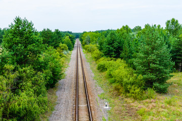 Old railroad in forest on summer