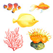 Set of coral reef animals. Coral, yellow tang, sea anemone, goldfish, clownfish. Isolated watercolor illustration.
