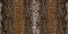 Animal Surface Seamless Print,Pyhton Skin, Snake Pattern, Animal Skin