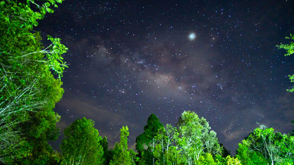 Wall Mural - beautiful of milkyway at night