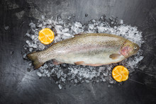 Raw Trout Fish On Ice With Rosemary And Lemon Over Stone Dark Background , Top View