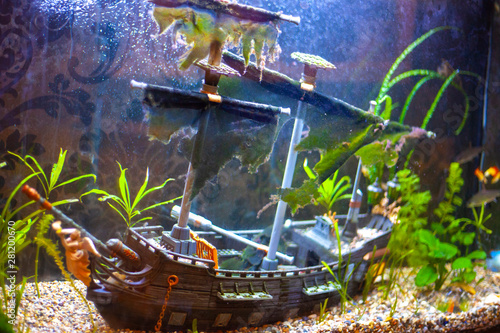 Sunken Ship At The Bottom Of The Aquarium An Old Ship In An