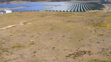 Wall Mural - aerial view drone footage rising up over a large solar panel energy farm in canberra, australia