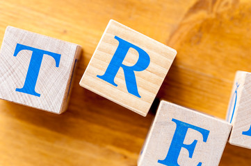 Wooden cubes with letters T R E on table.