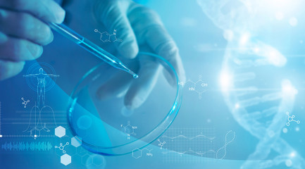 Wall Mural - science and medicine, scientist analyzing and dropping a sample into a glassware, experiments contai