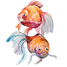 Beautiful Water Color Fish Art Illustration