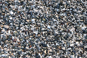 Canvas Print - Pebble beach