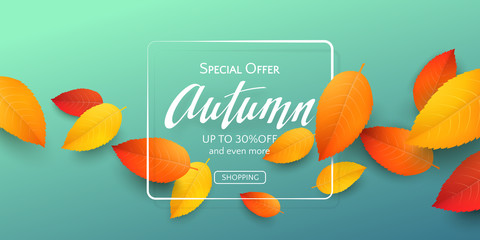 Wall Mural - Fall horizontal banner with 3D realistic colored leaves, frame and text Autumn on blue-green background. Vector seasonal template with falling foliage and lettering for flyers with discount offers.