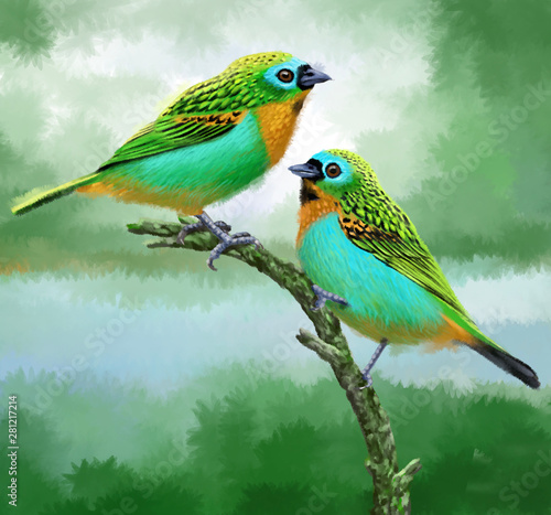 Oiseau Tangara Desmaresti Illustration Aquarelle Carte