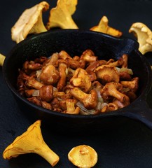 Wall Mural - Mushrooms chanterelle fried in a frying pan 