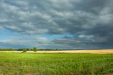 Green meadow and cloudy sky