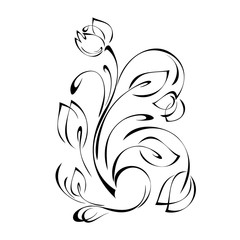 stylized flower with two buds on a curved stem with leaves and curls in black lines on a white background