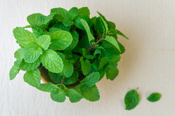 Peppermint Raw Vegetable