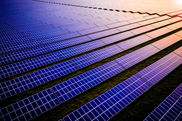 Wall Mural - Aerial looking down onto solar panels catching the early sunrise sunlight