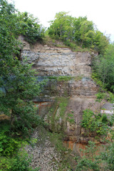Wall Mural - High stone wall in canyon and forest trees
