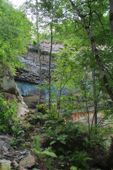 Wall Mural - High stone wall in canyon and forest trees