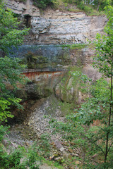 Wall Mural - High stone wall in canyon and forest trees