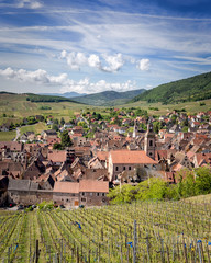 Beautiful village of Riquewihr in Alsace, France and its colorful half-timbered houses and its vineyards. (route des vins d'Alsace)