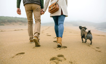 Low Section Of Couple Walking On The Beach With Dog In Winter
