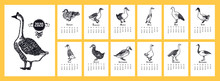 The Calendar 2020 Ducks And Geese