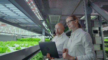 Modern scientists are engaged in the development of healthy food production by growing them in vertical automated farms. Analysis of data using a laptop and tablet computer.