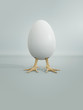 © Out of the box/Stocksy - The chicken or the egg dilemma