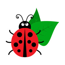 Bright Ladybug With Leaves Icon. Vector Illustration