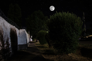 Wall Mural - full moon over quite village at night. beautiful night landscape of old town street with lights. rus