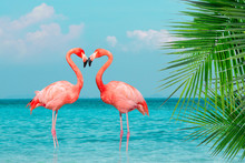 Vintage And Retro Collage Photo Of  Flamingos Standing In Clear Blue Sea With Sunny Sky Summer Season With Cloud And Green Coconut Tree Leaves In Foreground.