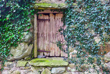 Old Wooden Door With Some Green Ivy Around It