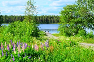 Wall Mural - Kuhmo, Finland