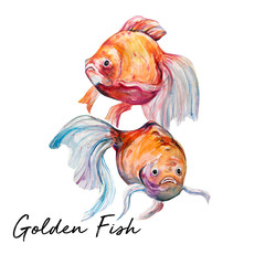 Beautiful water color fish art illustration