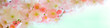 Sakura branch with flowers close-up in the panorama