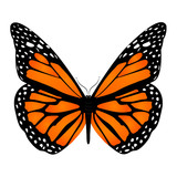 Fototapeta Sypialnia - Orange butterfly with white dots on the edges of the wings