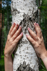 A girl with beautiful nails with two hands hugs a birch in the forest. Face is not visible.The sun is shining. Selective focus on the hand and birch. Ecological concept. Background with trees blurred.