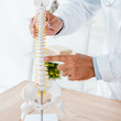 © LIGHTFIELD STUDIOS - cropped view of doctor pointing with finger at spine model in clinic