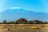 Fototapeta Sawanna - Impressive travel to Kenya, Africa