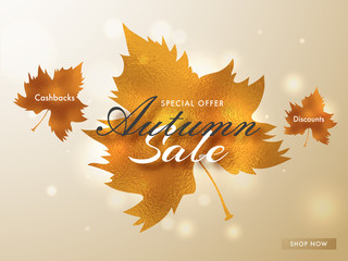 Sticker - Glossy golden maple leaves on shiny blurred background for Autumn Sale advertising poster design with Special cashback discount offer.