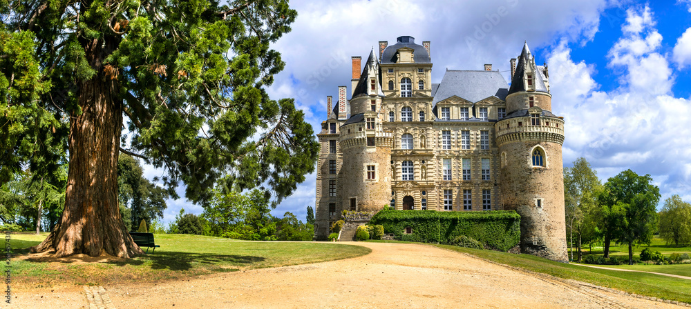 Famous castles of Loire valley - beautiful romantic Chateau de Brissac, Landmarks of France - obrazy, fototapety, plakaty 