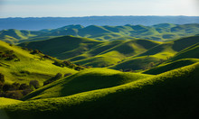 Rolling Green Hills In Northern California