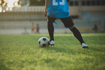 Wall Mural - Soccer player action on the stadium