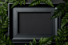 Top View Of Empty Black Frame On Black Background With Copy Space And Green Fern Leaves